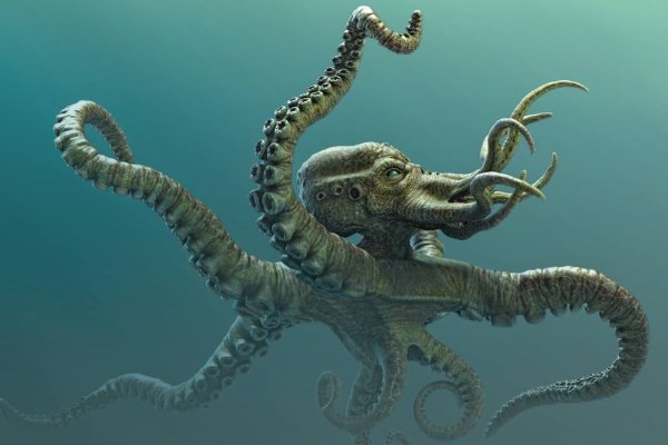Kraken darknet market ссылка